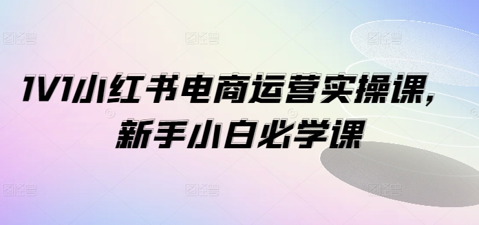 1V1小红书电商运营实操课,新手小白必学课二毛|软件|网创|付费|项目|免费|创业|副业|引流二毛创业网