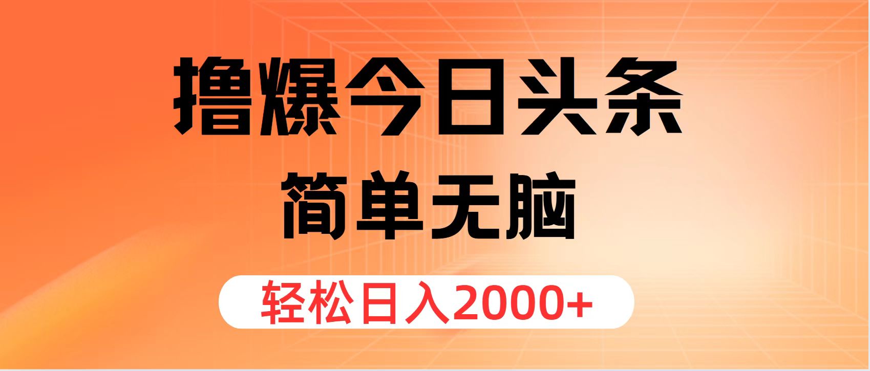图片二毛|软件|网创|付费|项目|免费|创业|副业|引流二毛创业网